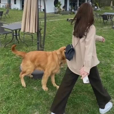盗墓风云
